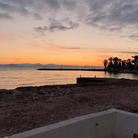 Lejlighed Hadarik By The Sea *