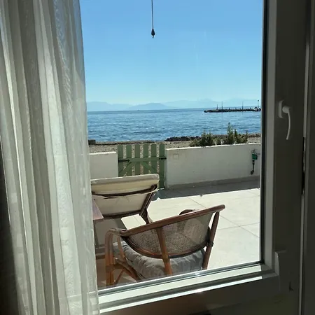 Hadarik By The Sea